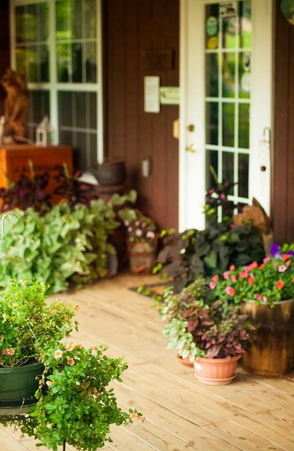 Nolichuckey Bluffs Bed & Breakfast Cabins Γκρίνβιλ Εξωτερικό φωτογραφία