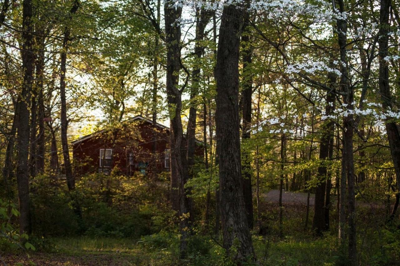 Nolichuckey Bluffs Bed & Breakfast Cabins Γκρίνβιλ Δωμάτιο φωτογραφία