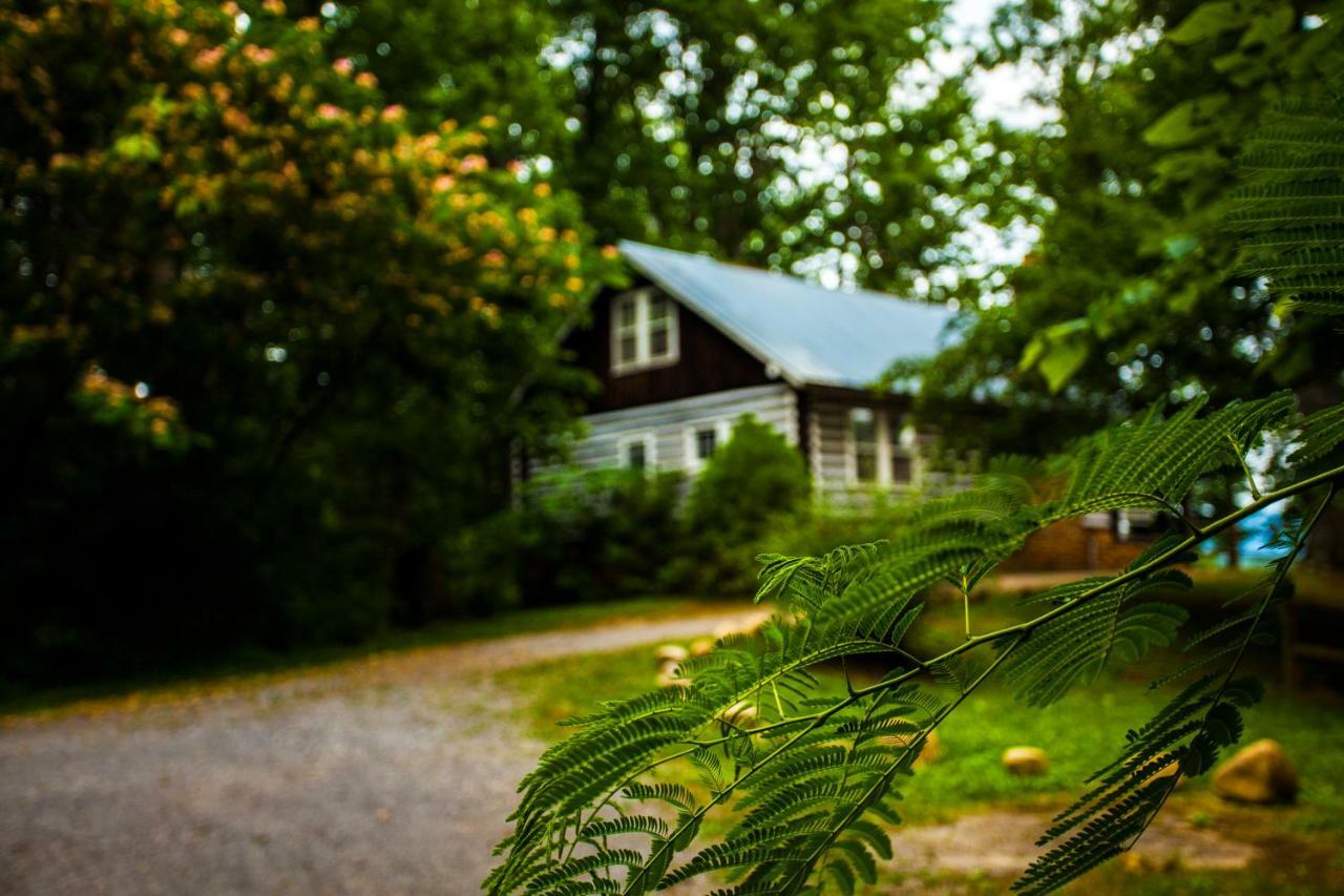 Nolichuckey Bluffs Bed & Breakfast Cabins Γκρίνβιλ Εξωτερικό φωτογραφία