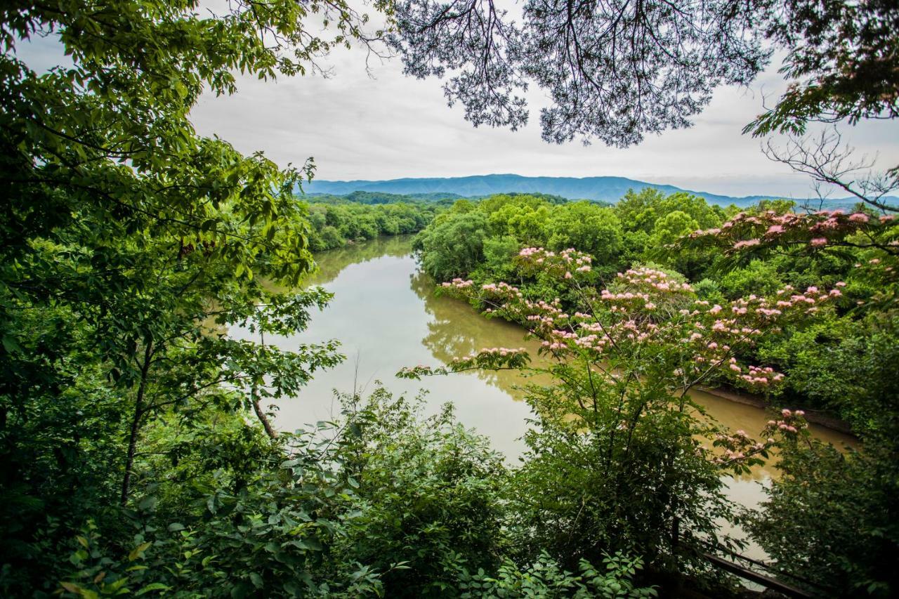 Nolichuckey Bluffs Bed & Breakfast Cabins Γκρίνβιλ Εξωτερικό φωτογραφία